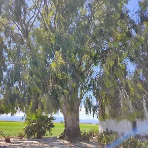 Lo Mas De Suriaca El Poble Nou del Delta